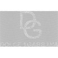 Brand Catalog-ZX 423